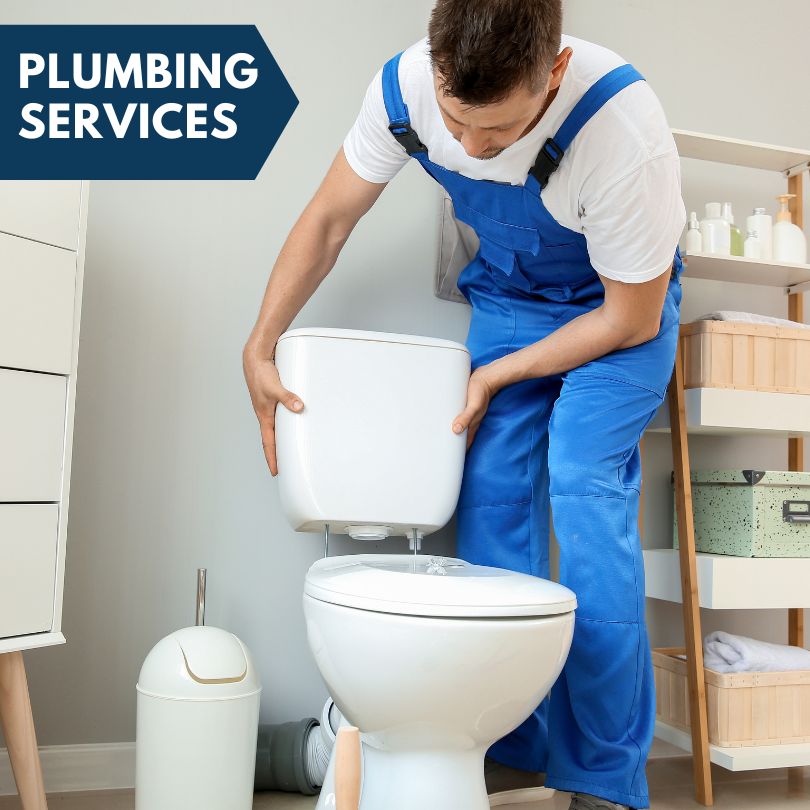 Plumbing Company in Wood Dale, IL
